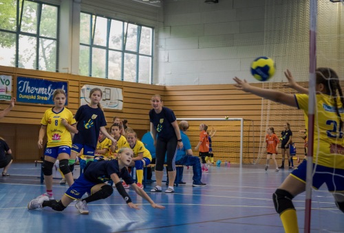 Felső ági döntőn pattogott a labda