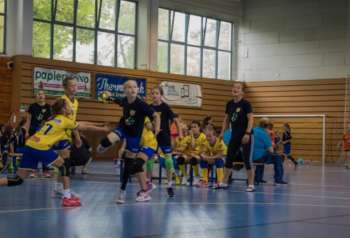 Felső ági döntőn pattogott a labda