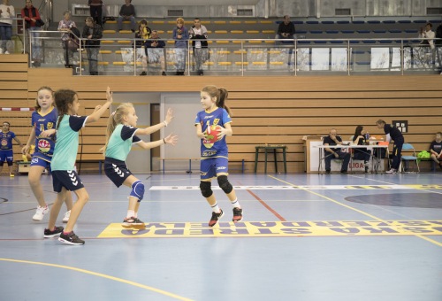 Kisiskolások regionális tornája