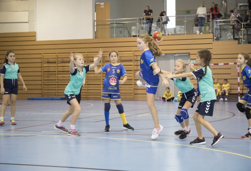 Kisiskolások regionális tornája