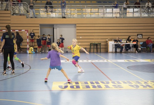 Kisiskolások regionális tornája