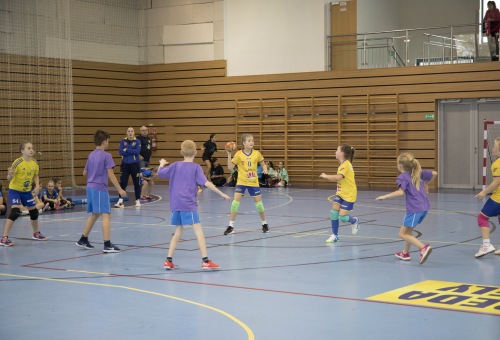 Kisiskolások regionális tornája