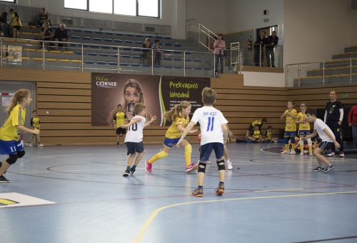 Kisiskolások regionális tornája