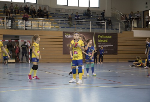 Kisiskolások regionális tornája