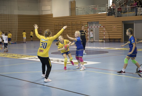 Kisiskolások regionális tornája