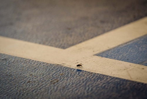 Jól játszottunk és majdnem sikerült