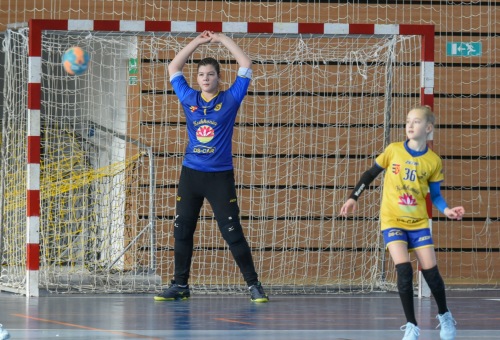 DC DAC Dunaszerdahely U12B - HC Tatran Stupava