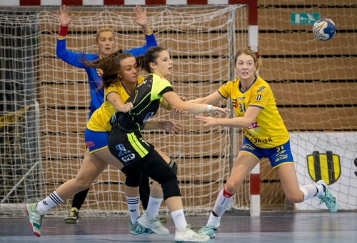 HC DAC Dunaszerdahely - Sokol Písek