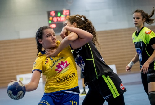 HC DAC Dunaszerdahely - Sokol Písek