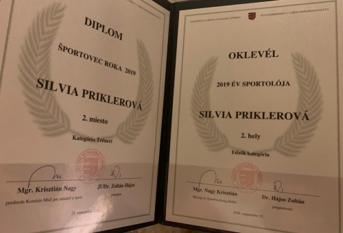 Sportolói elismerések a városi gálán