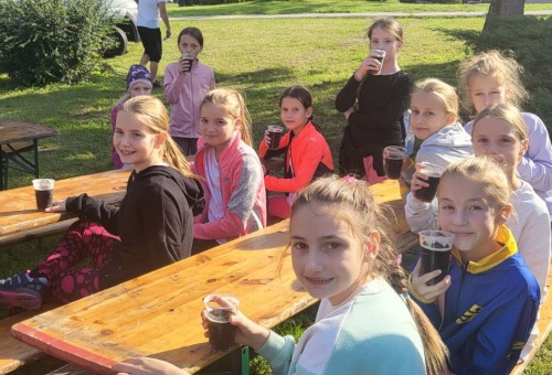 Meccsdömping az utánpótlás bajnokságokban – továbbra is jól szerepelnek fiataljaink