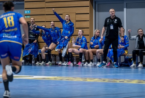 HC DAC Dunaszerdahely - DHC Slávia Praha 2024.02.17.