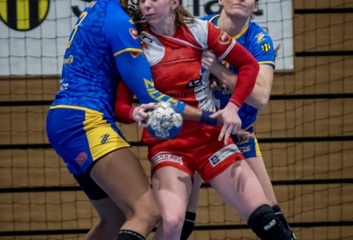 HC DAC Dunaszerdahely - DHC Slávia Praha 2024.02.17.