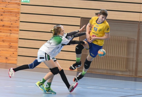 DC DAC Dunaszerdahely U12B - HC Tatran Stupava