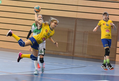 DC DAC Dunaszerdahely U12B - HC Tatran Stupava