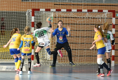 DC DAC Dunaszerdahely U12B - HC Tatran Stupava