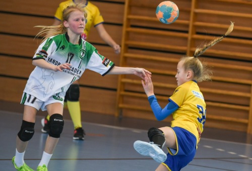 DC DAC Dunaszerdahely U12B - HC Tatran Stupava