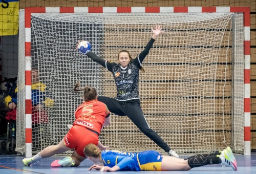 HC DAC Dunaszerdahely - Házená Kynžvart 2024.01.10.