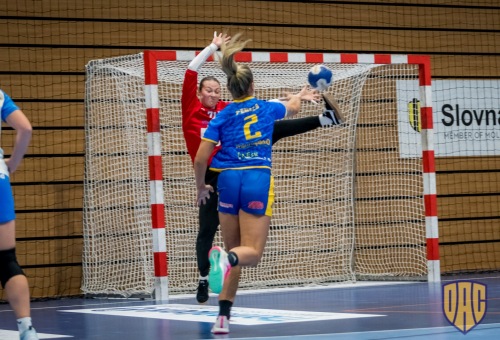 HC DAC Dunaszerdahely - DHC Sokol Poruba 2023.10.07.