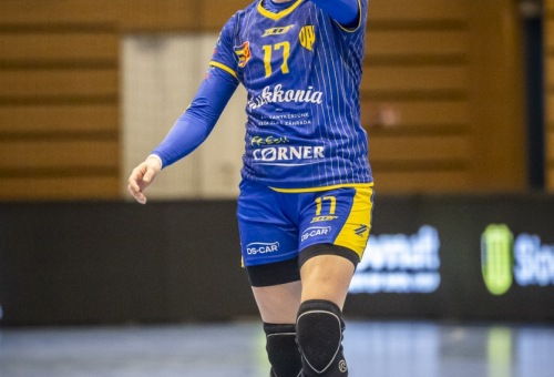 HC DAC Dunaszerdahely - SCM Ramnicu Valcea 2024.10.13.
