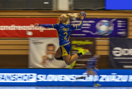 HC DAC Dunaszerdahely - DHC Sokol Poruba 2025.11.16.