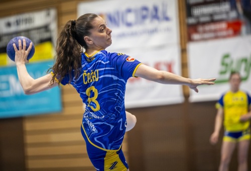 HC DAC Dunaszerdahely - Iuventa Michalovce 2026.05.27.