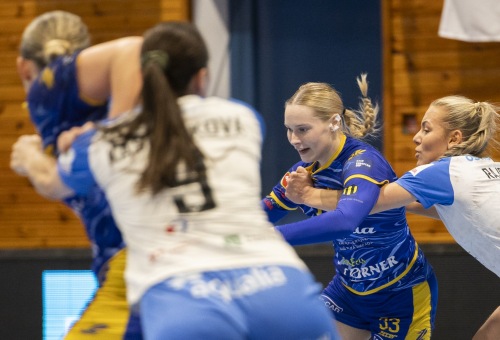 HC DAC Dunaszerdahely - DHC Sokol Poruba 2025.11.16.