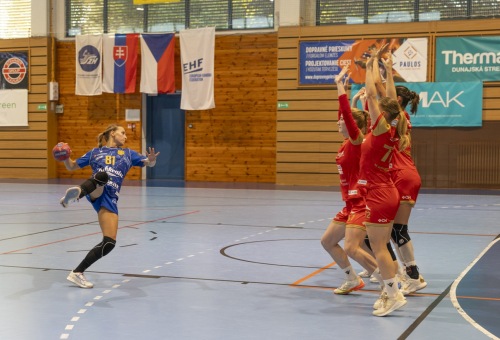 HC DAC Dunaszerdahely - SK HK Cheb 2026.09.04.