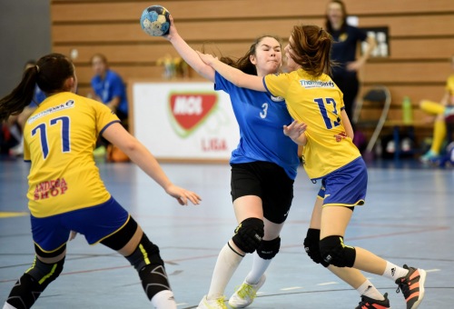 2. Méhes Tibor Emléktorna