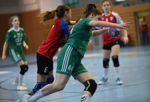 2. Méhes Tibor Emléktorna