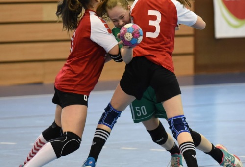 2. Méhes Tibor Emléktorna