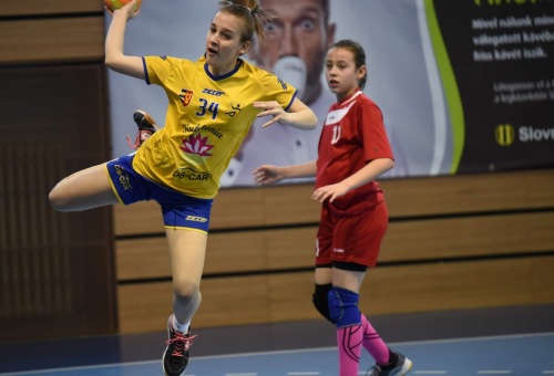 2. Méhes Tibor Emléktorna