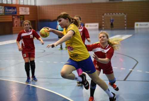 2. Méhes Tibor Emléktorna